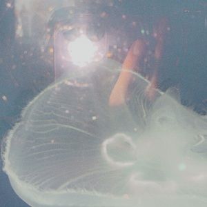 Meet your Posher, Haven